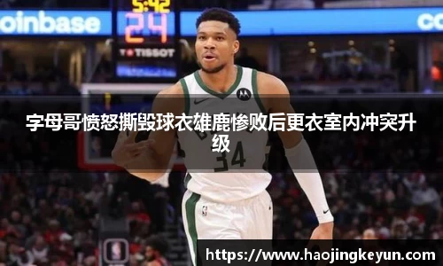 星空.综合体育官网