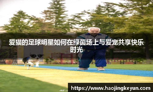 爱猫的足球明星如何在绿茵场上与爱宠共享快乐时光