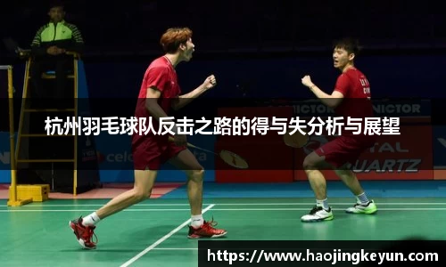 杭州羽毛球队反击之路的得与失分析与展望