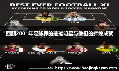 回顾2001年足球界的璀璨明星与他们的辉煌成就